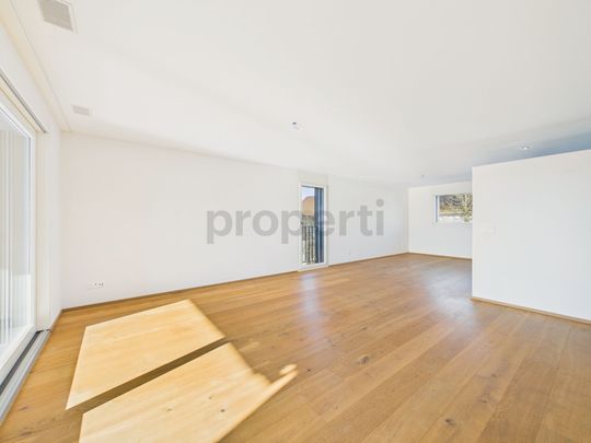Modern 4.5-room apartment with balcony, Ufhusen - Foto 1