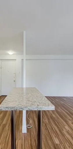 1 Bedroom Suite Steps from U of T - Photo 1