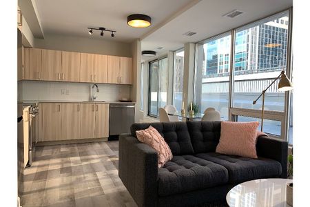 Steps to Parliament - Gym - Theater - Rooftop Patio/Party Room - Business Lounge! - Photo 3