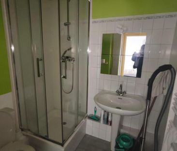 Location Appartement 1 pièce 18m² ANTONY 92160 - Photo 3