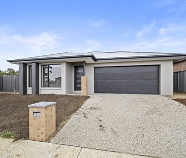 LOW MAINTENANCE LIVING IN THE HEART OF LUCAS - Photo 2