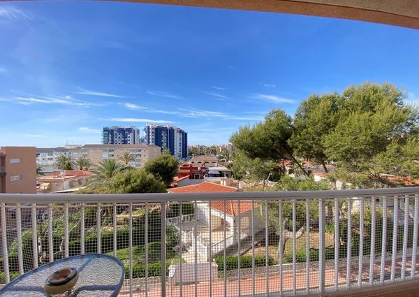 Mieszkanie na wynajem - 29 m² - 1 pokój Torrevieja Walencja Alicante