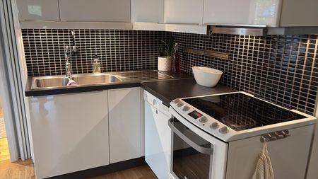 Skathagsvägen, Smedjebacken - Foto 5