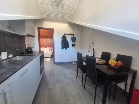 EVIONNAZ - STUDIO A LOUER - Photo 4