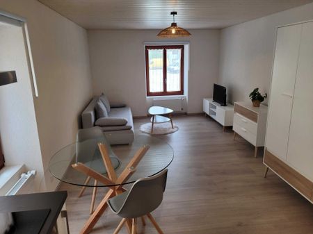 Furnished apartment in Val-de-Travers - Photo 2