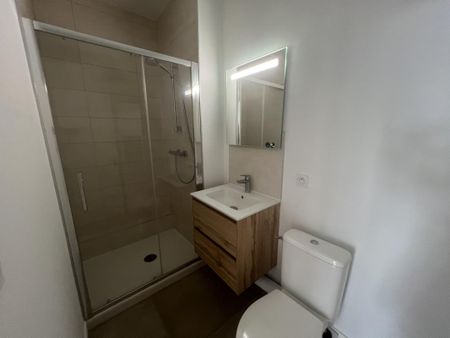 Location Appartement 1 pièce 24m² NANTES 44200 - Photo 4