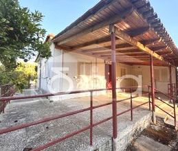 Μονοκατοικία για ενοικίαση - Αμαλιάδα, - Φωτογραφία 4