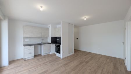 Location Appartement 2 pièces 43m² MITTELHAUSBERGEN 67206 - Photo 2