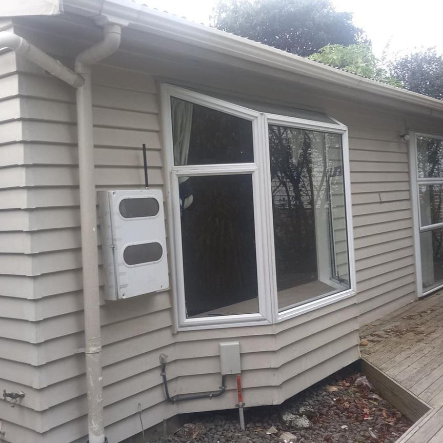 Lovely 2 bedroom unit in the heart of Mt ... - Photo 1