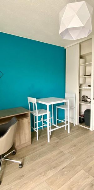 Location Appartement 1 pièce 15m² TOURS 37200 - Photo 1