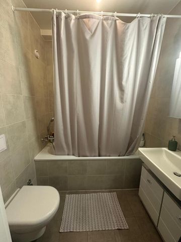 6 room apartment in Carouge - Photo 4