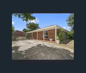 Great position And Great lifestyle. - Photo 6