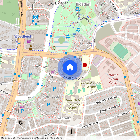 119B Alkaff Crescent (342119), Singapore