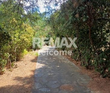 Μονοκατοικία - Ενοικίαση - Πυλαία, Ελαιώνες - Photo 5
