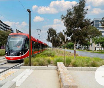 201/259 Northbourne Ave, Lyneham ACT 2602 - House For Rent | Domain - Photo 4