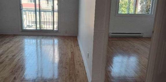 4 1/2 St. Leonard Viau/Lavoisier $1500 - Photo 2