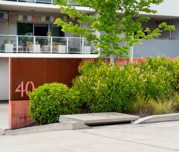 50/40 Philip Hodgins Street, Wright ACT 2611 - Apartment For Rent |... - Photo 3