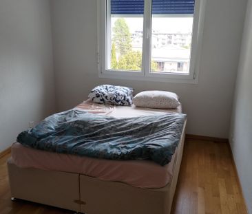 3.5 Zimmer - Photo 2