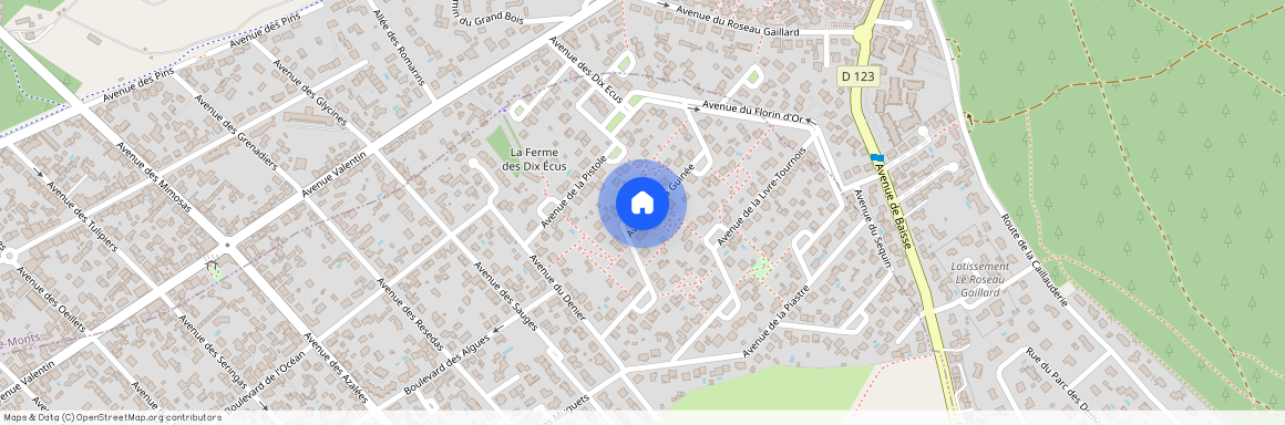 Avenue de la Guinée, Saint-Hilaire-De-Riez