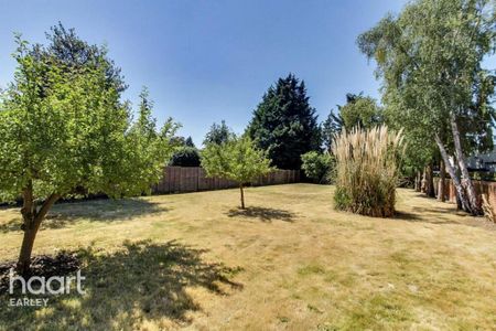 1 bedroom in a house share to rent - Photo 4