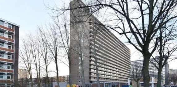 Hendrik Tollensstraat 2624 ZL Delft - Foto 2