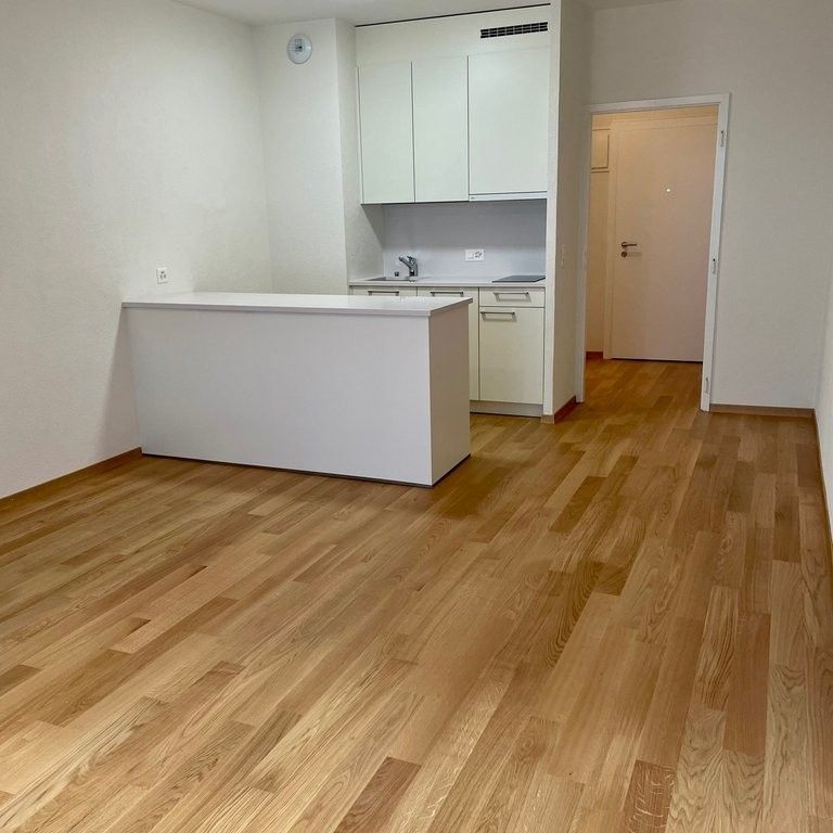 Au coeur des Eaux-Vives - Photo 1