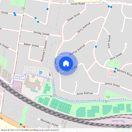 16 Faye Street, NSW 2147, Seven Hills