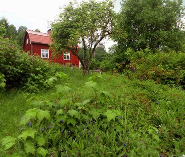 Hyttvägen, Grängesberg - Photo 5