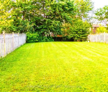 Detached Home For Lease | N9255063 - Photo 6