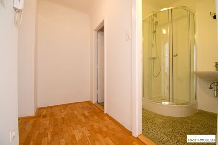 Südlich ausgerichtete 1 - Zimmer Wohnung inkl. neuer Einbauküche mit optimaler Infrastruktur - Photo 5