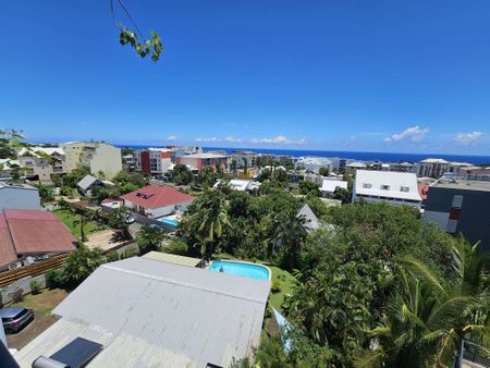 Location Appartement 1 pièce 21m² STE CLOTILDE 97490 - Photo 5
