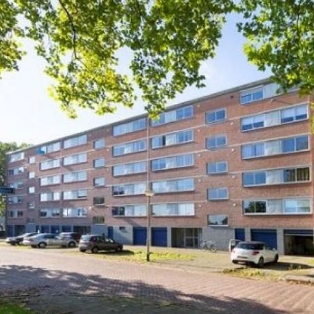 Doorwerthstraat, 4834 PP Breda, Nederland - Foto 3