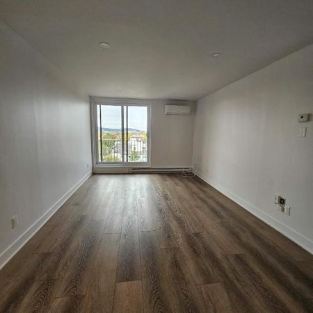 1 CH - 1 SDB - Montréal - $1,545 /mo - Photo 4