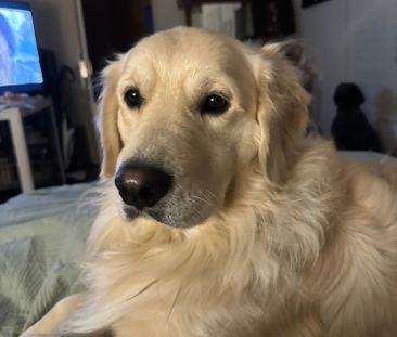 Rankin Park - Photo 6