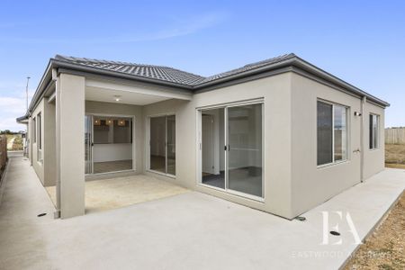 44 Blackwattle Drive, Armstrong Creek - Photo 5