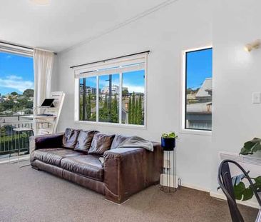 Grey Lynn Cutie - Photo 1