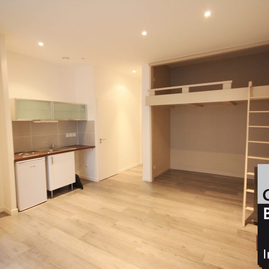 Location Appartement 1 pièce 25m² GRENOBLE 38000 - Photo 1