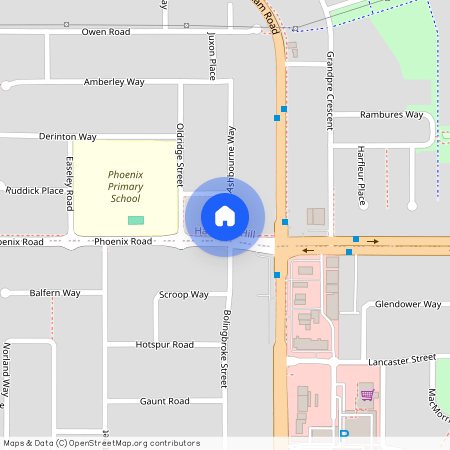 52 Phoenix Road, Hamilton Hill WA 6163