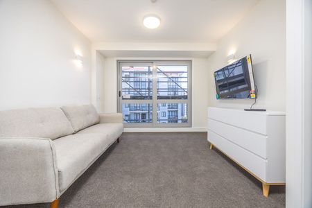 Sun-filled Apartment - Photo 5