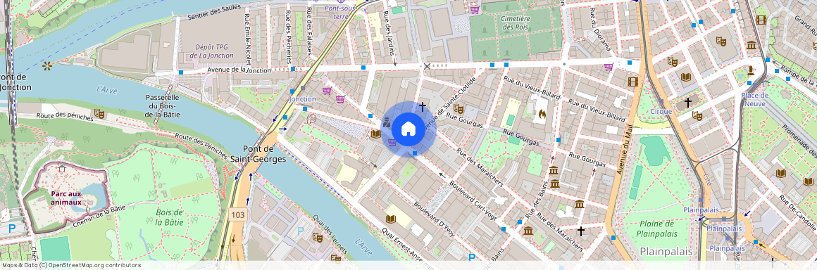 Avenue de Sainte-Clotilde 18, 1205 Genève