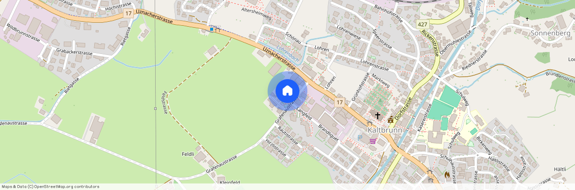 8723, Kaltbrunn, Grafenaustrasse, 6