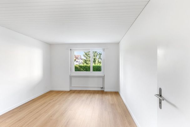 2.5 Zimmer, 55 m², 4. Stock - Foto 1
