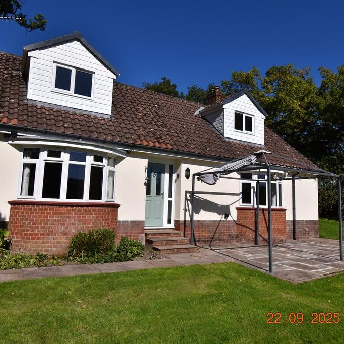 4 bedroom detached bungalow to rent - Photo 1