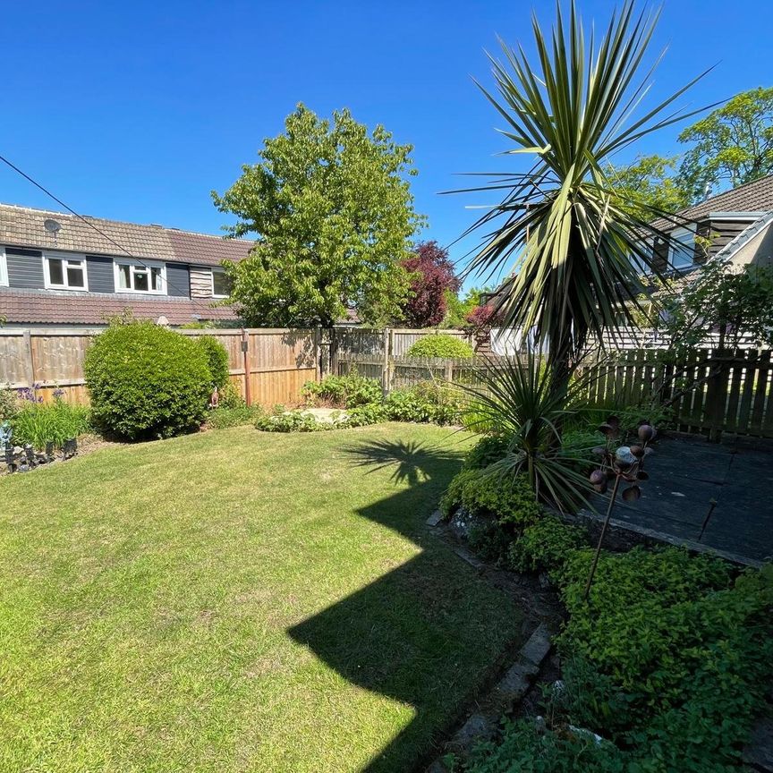 3 bedroom semi-detached house to rent - Photo 1