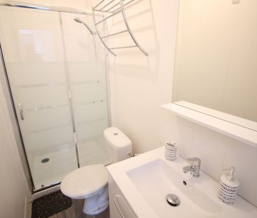 APPARTEMENT T1 BIS MEUBLE LIMOGES NORD - Photo 6