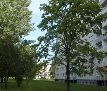 3-Raum-Wohnung mit Tageslichtbad und Balkon - Foto 3