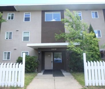 Bachelor Suite on Juniper - Photo 4