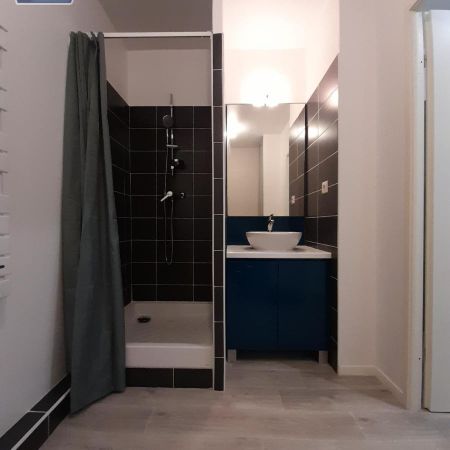 Location Appartement 1 pièce 20m² CALUIRE ET CUIRE 69300 - Photo 3