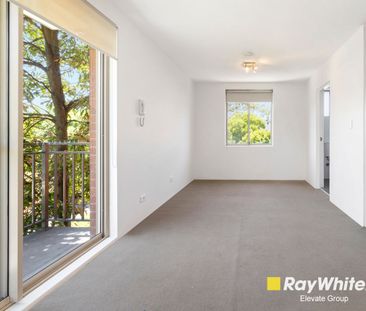 Charming North-Facing Studio in Leafy Glebe Setting - Photo 2