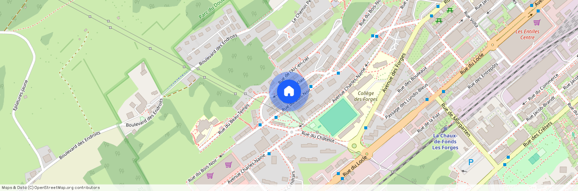 Rue du Bois-Noir 62, 2300, La Chaux-De-Fonds